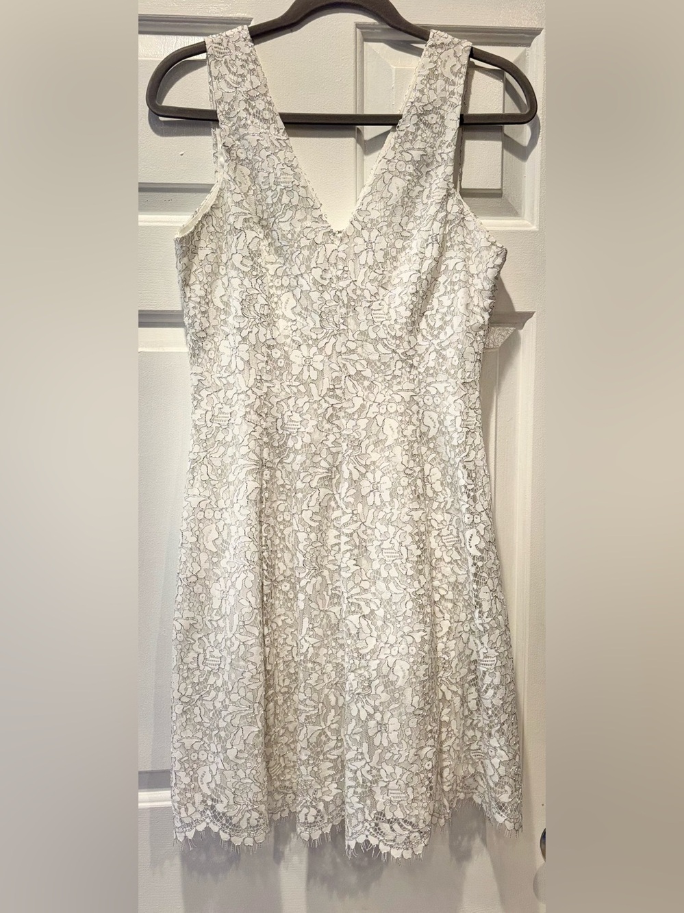 Kensie Lace Shimmer Dress - Size 4 - V-neck Floral Overlay in White/Ivory